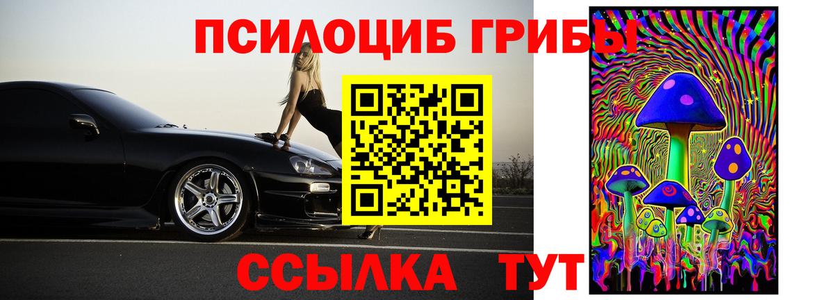 Псилоцибиновые грибы Psilocybine cubensis  Псилоцибиновые грибы прущие грибы  Лабытнанги  Вход с VPN 